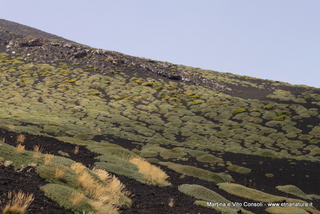 rra delle Concazze-05-08-2014 15-13-03